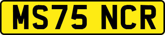 MS75NCR