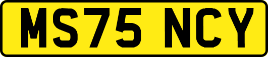 MS75NCY