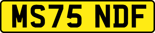 MS75NDF