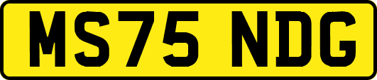 MS75NDG