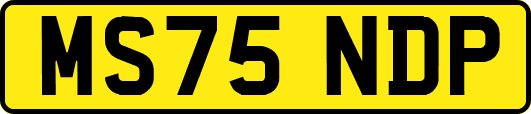 MS75NDP