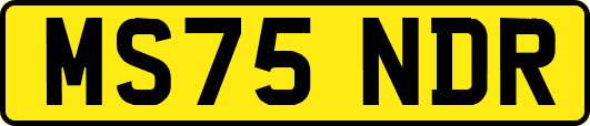 MS75NDR