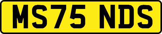 MS75NDS