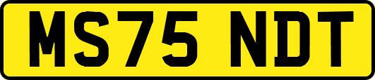 MS75NDT