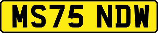 MS75NDW