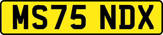 MS75NDX