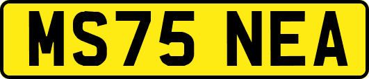 MS75NEA