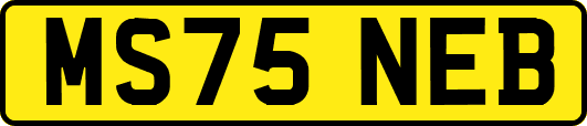 MS75NEB