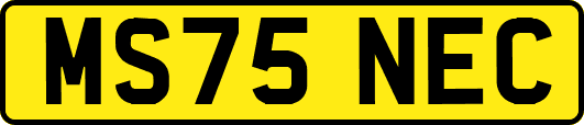 MS75NEC