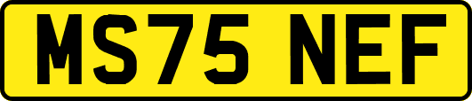 MS75NEF