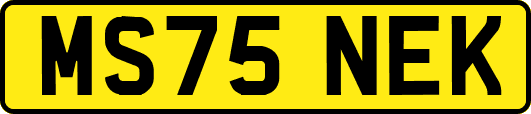 MS75NEK