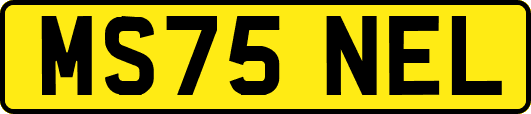 MS75NEL