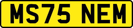 MS75NEM
