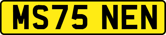 MS75NEN