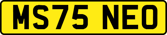MS75NEO