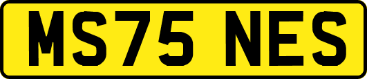 MS75NES