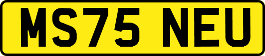 MS75NEU