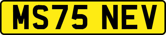 MS75NEV