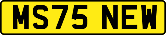 MS75NEW