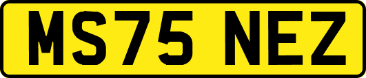 MS75NEZ