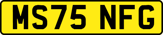 MS75NFG