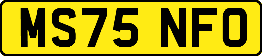 MS75NFO