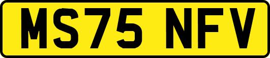 MS75NFV