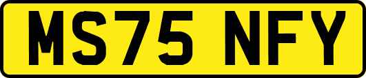 MS75NFY