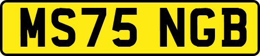 MS75NGB