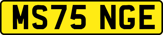 MS75NGE
