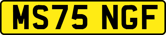 MS75NGF