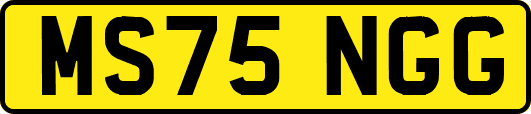 MS75NGG
