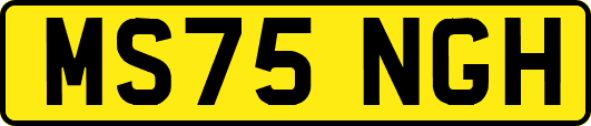 MS75NGH