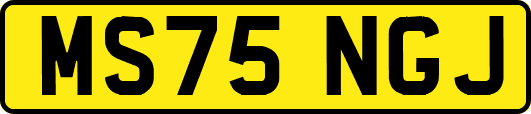 MS75NGJ