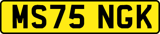MS75NGK
