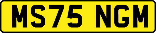MS75NGM
