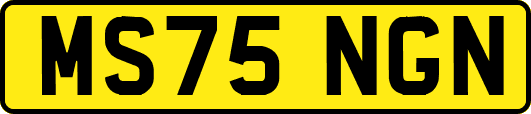 MS75NGN
