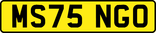 MS75NGO