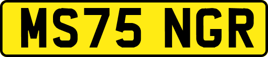 MS75NGR