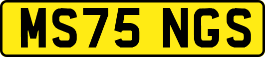 MS75NGS