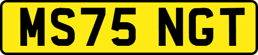 MS75NGT