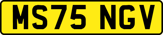 MS75NGV