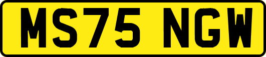 MS75NGW
