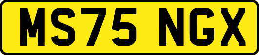 MS75NGX
