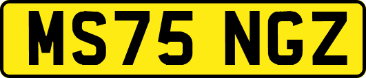 MS75NGZ