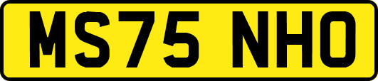 MS75NHO