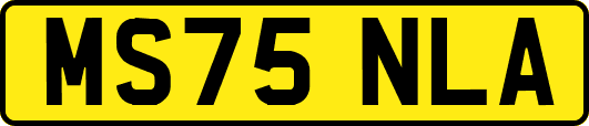 MS75NLA