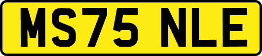 MS75NLE