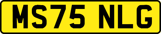 MS75NLG
