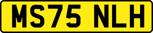 MS75NLH